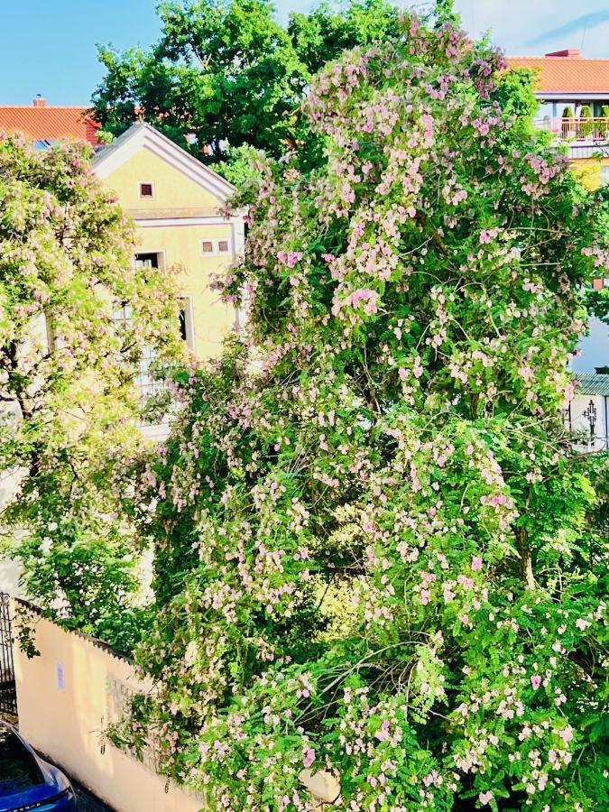 Super Apartment Old Town Klaipėda Exterior foto